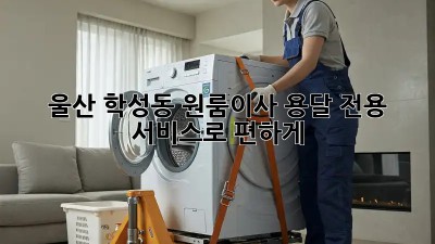 울산 학성동 원룸이사? 용달 전용 서비스로 편하게!